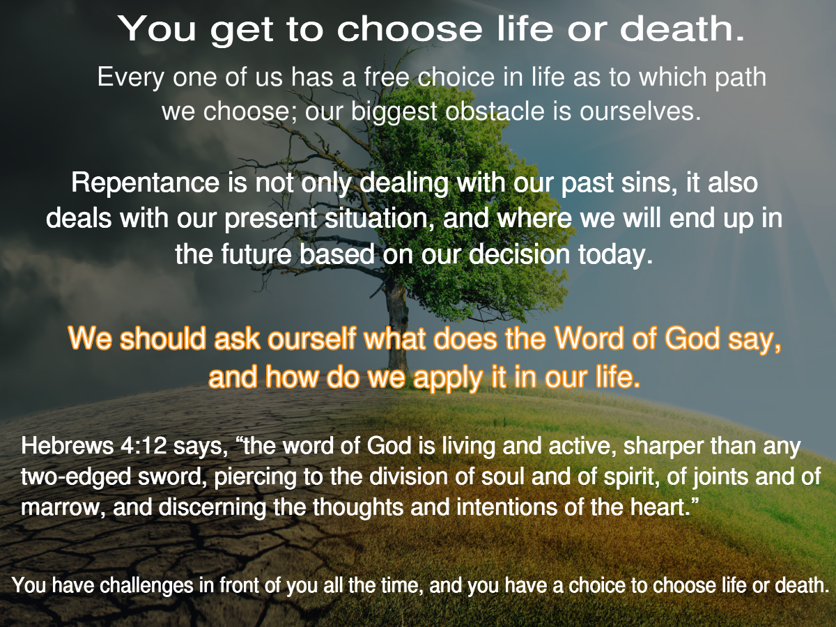 Day 20 How to Choose Life over Death Preparing for the Messianic